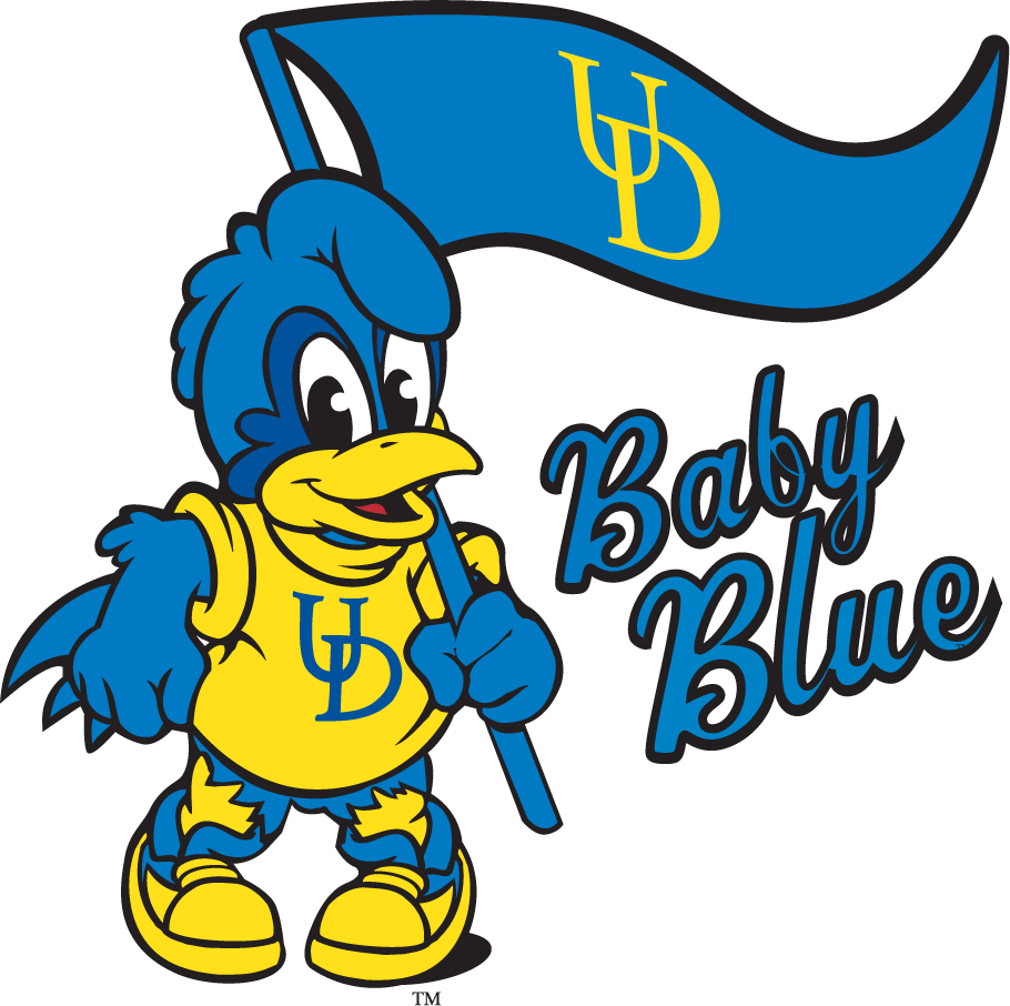 Delaware Blue Hens 1999-2009 Mascot Logo v3 DIY iron on transfer (heat transfer)